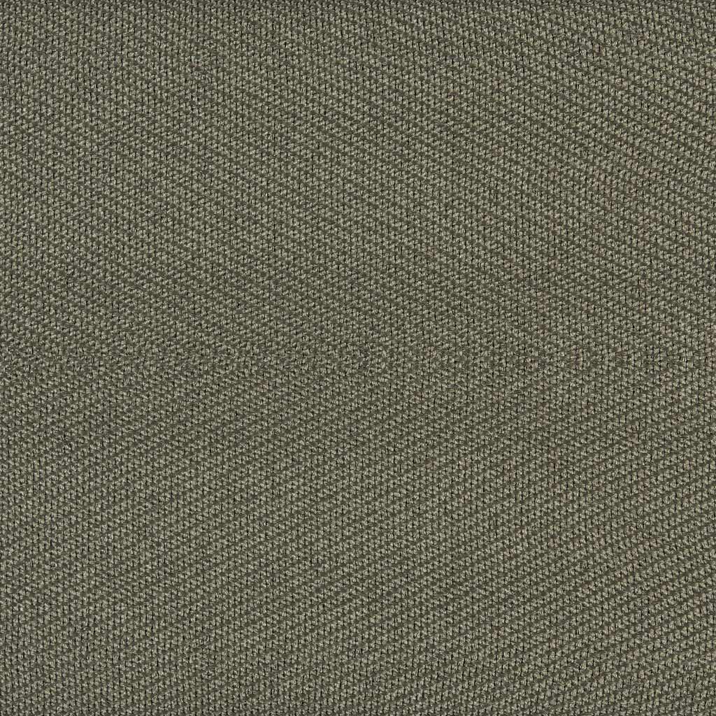 Lichen Binding Sample