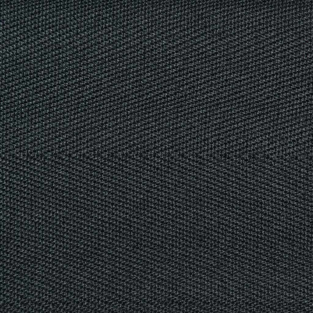 Charcoal Binding Sample